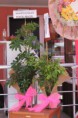 /album/foto%c4%9fraflar%3a-anasayfa/img-8849-jpg/
