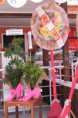 /album/foto%c4%9fraflar%3a-anasayfa/img-8850-jpg/